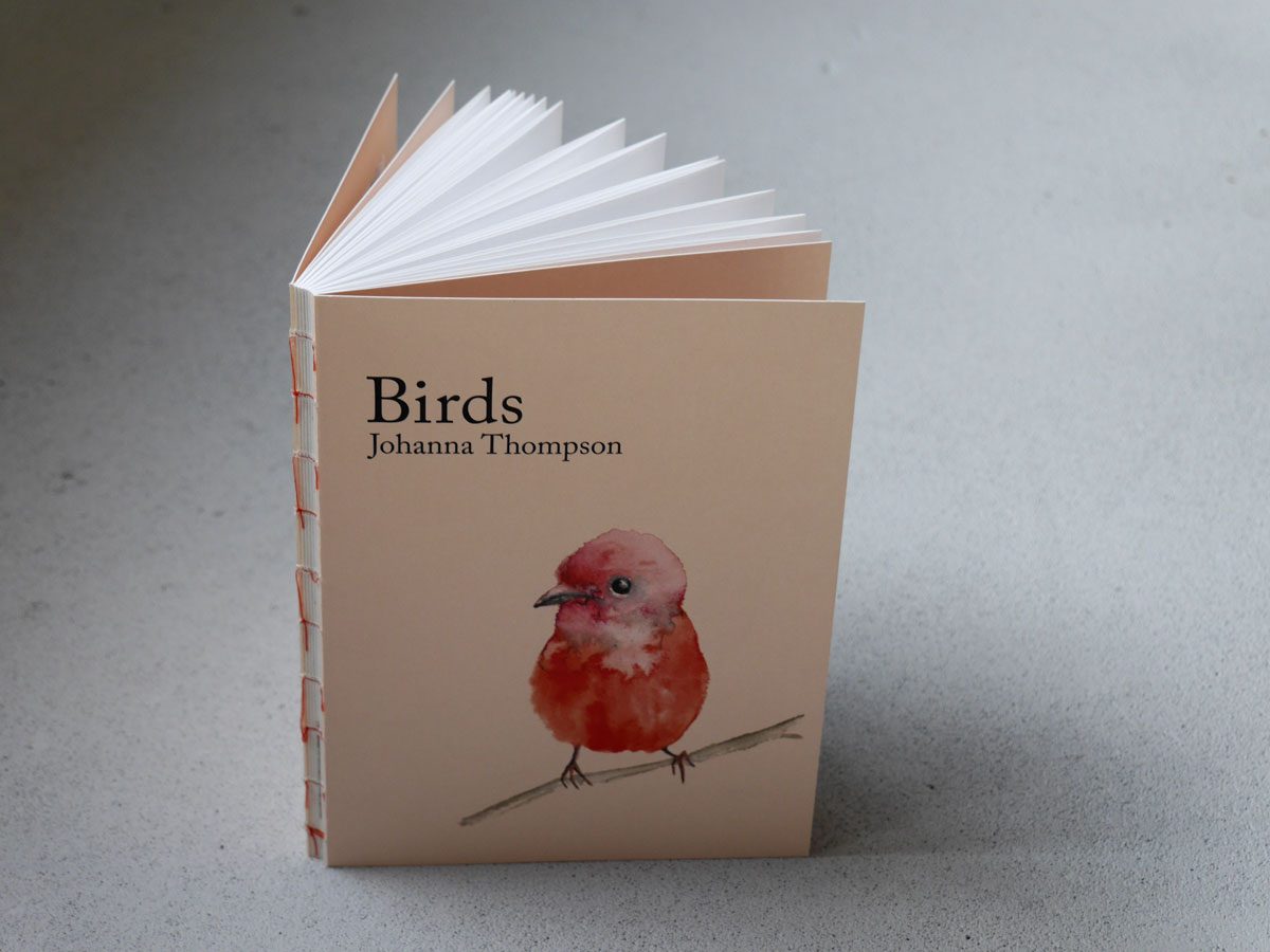 Cover Birds by Johanna Thompson