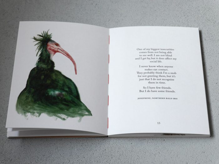 Inside page Birds by Johanna Thompson